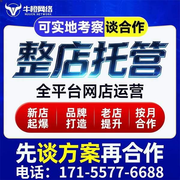 吉安电商代运营