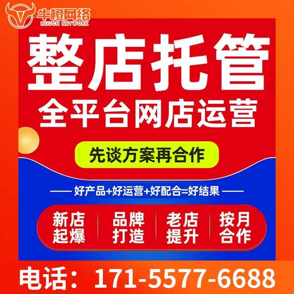吉安电商代运营