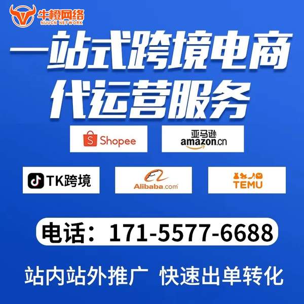 吉安电商代运营