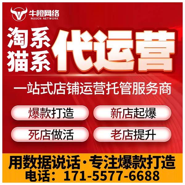 吉安电商代运营